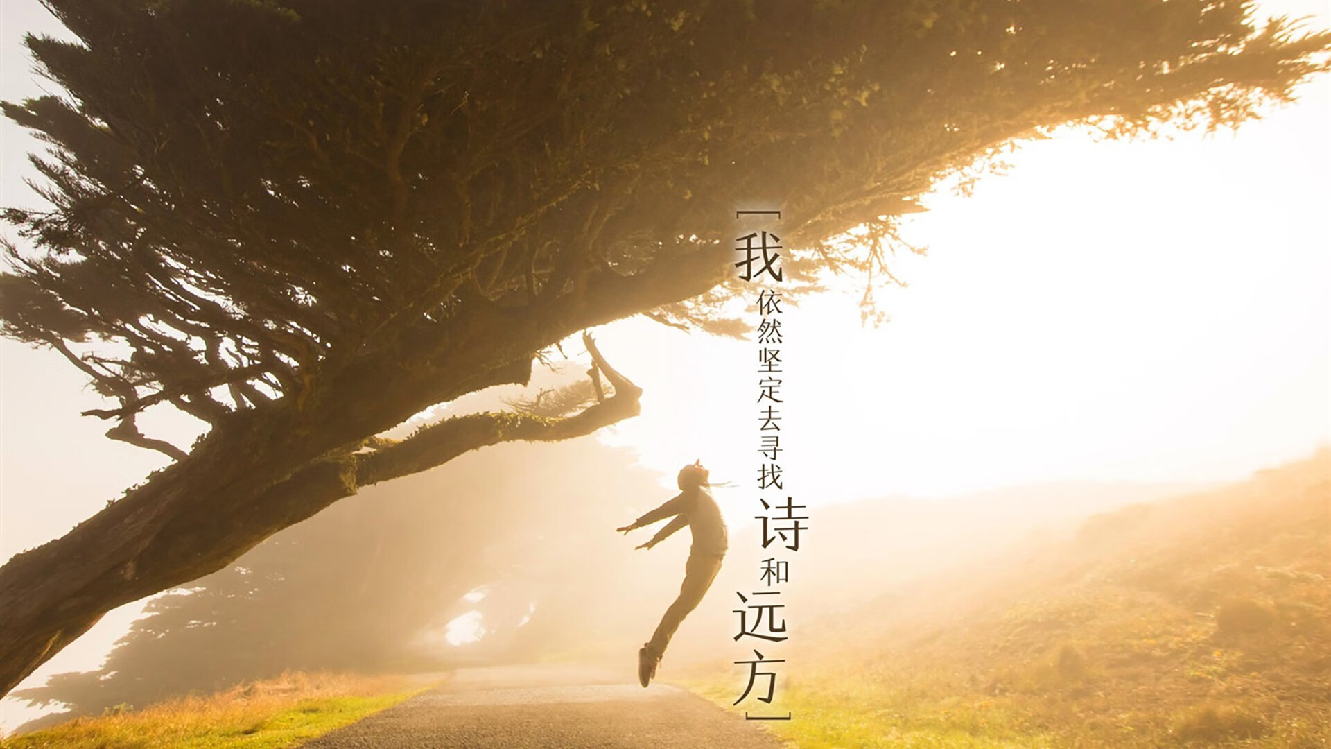 跨越绿茵的传奇，乌克兰一波带走中国，梅西扛起全队的启示