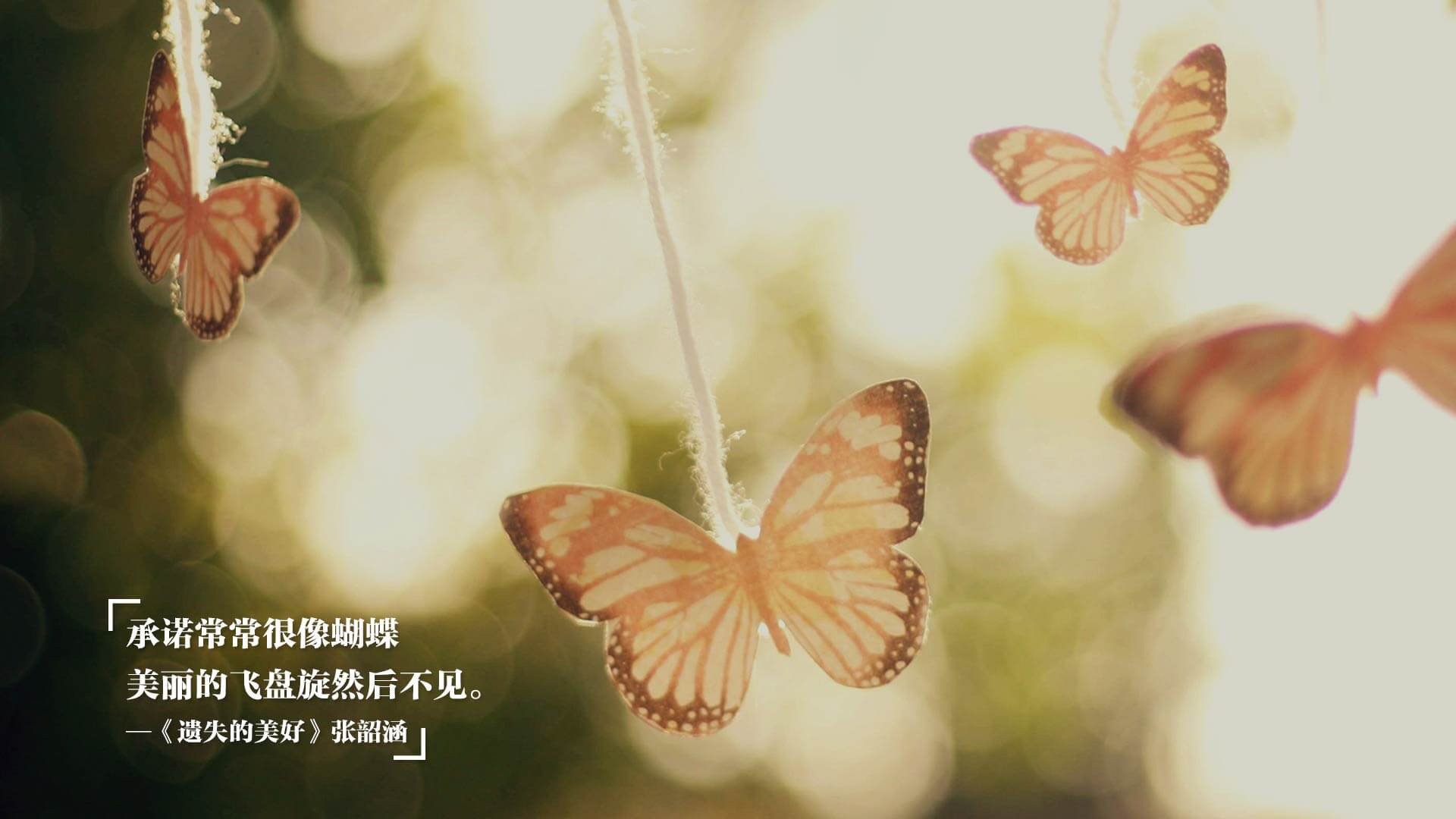 东决生死夜，米切尔关键节点连续得分定江山