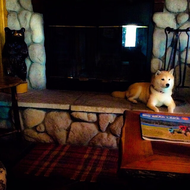 绿茵烈日下的破冰者，加维如何用一脚弧线改写中非足球史