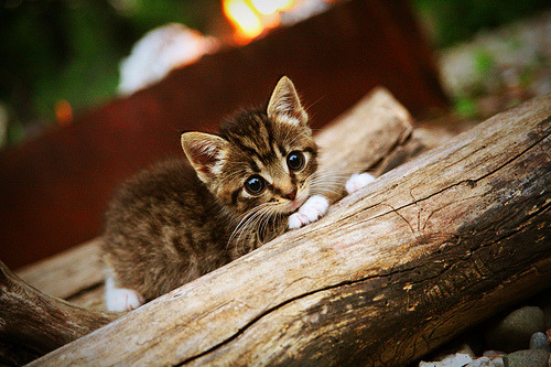 看到这个关键词组合，我理解你需要一篇极具创意和故事性的文章。这本身是一个充满张力的命题—将一位顶级攻击手置于意想不到的防守核心位置
