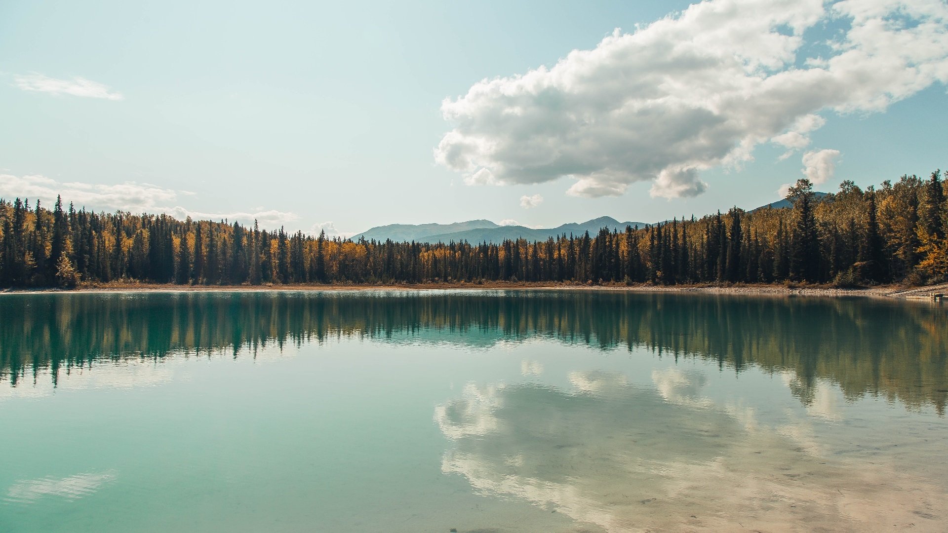逆转美学，当快船翻盘独行侠，范弗利特在意甲上演接管时刻
