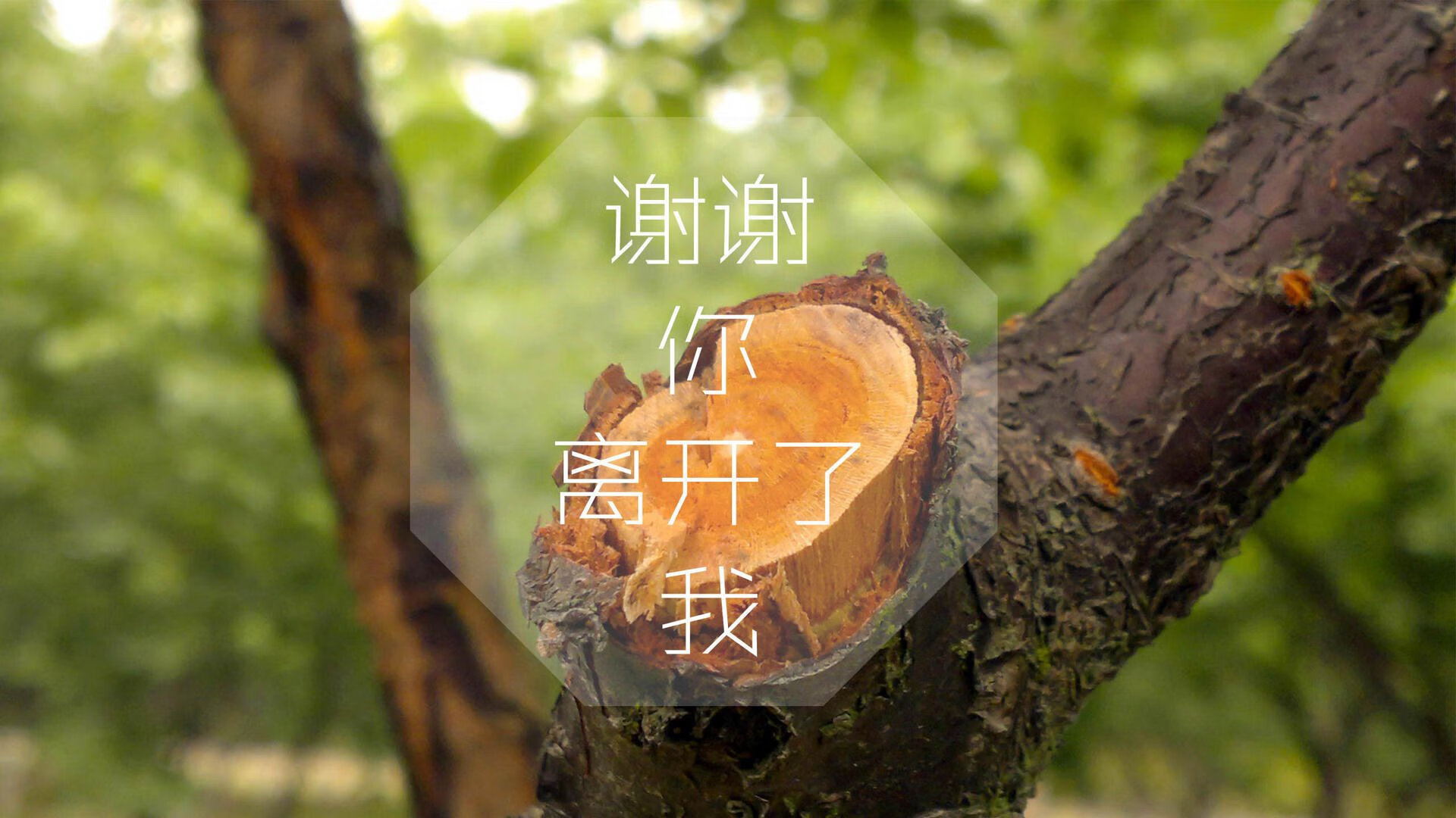 那个被遗忘的夜晚，东契奇惊艳四座的宿命，与开拓者击败湖人的最后七秒