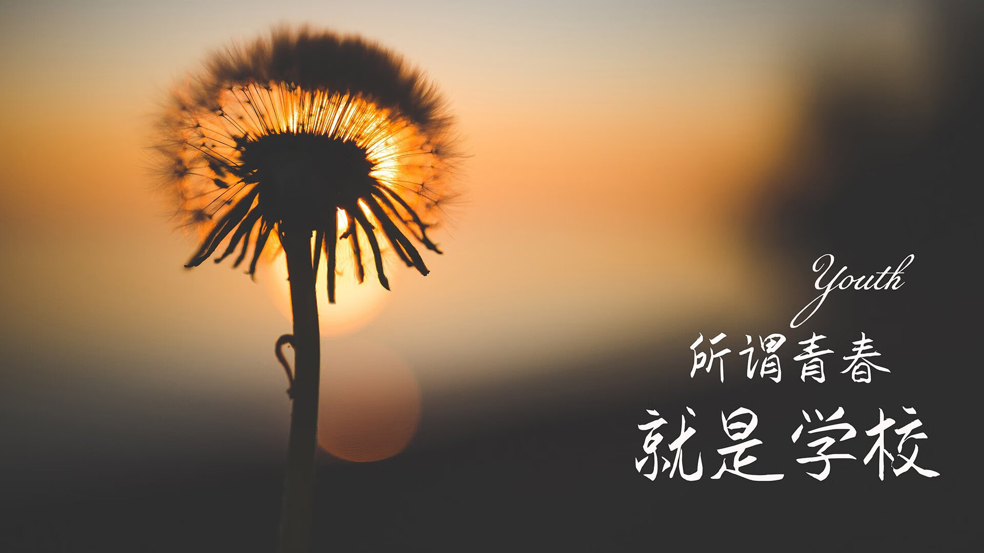 极限悖论，当亚洲铁骑踏碎南美舞步，库尔图瓦的孤勇定义了C组唯一的生存法则