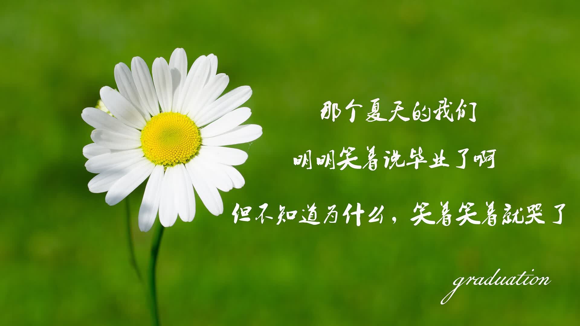 烽火连城,2026世界杯C组强强对话,智利完胜伊朗,格列兹曼的绝代风华