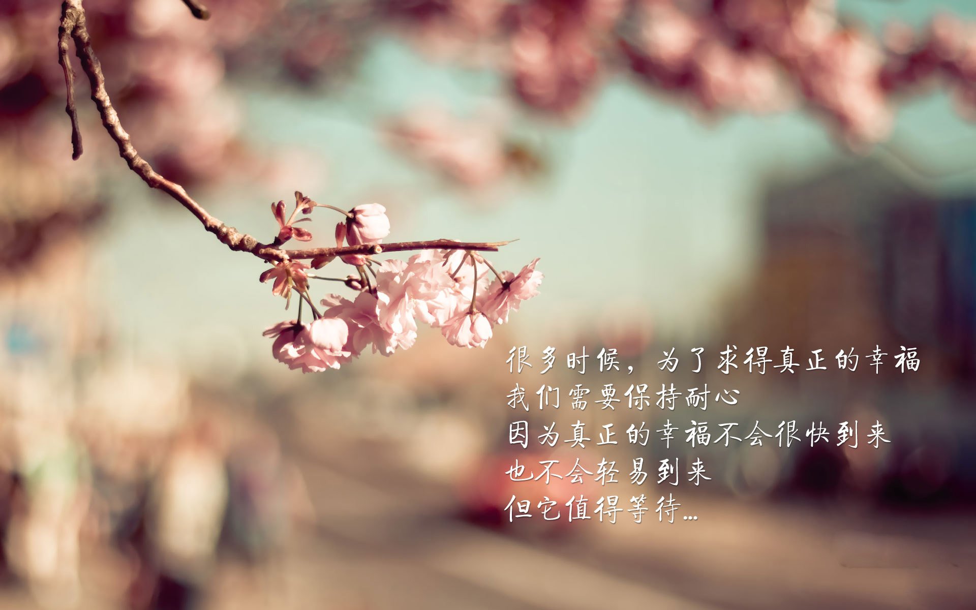 唯一的假象,2026世界杯G组生死战,挪威的完胜与塔雷米一个人的真理