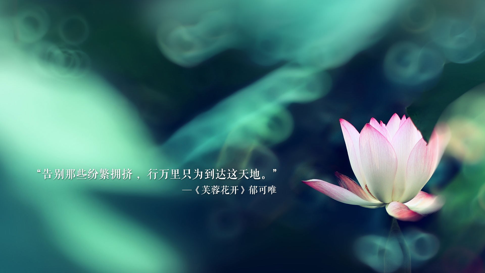 逆转の魂，当东瀛武士遇上曼城魔术师—2026世界杯H组，福登用一己之力导演了亚洲奇迹