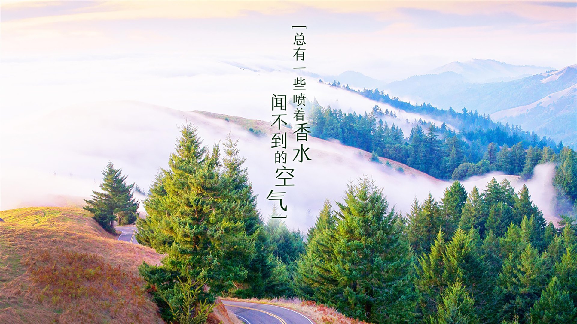 布达佩斯之怒，2026世界杯复仇之夜里，迪亚斯亲手撕碎意大利的骄傲