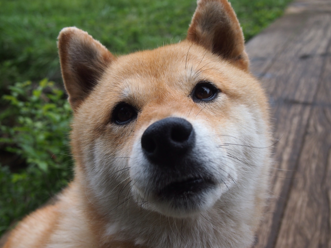 扩展与构思