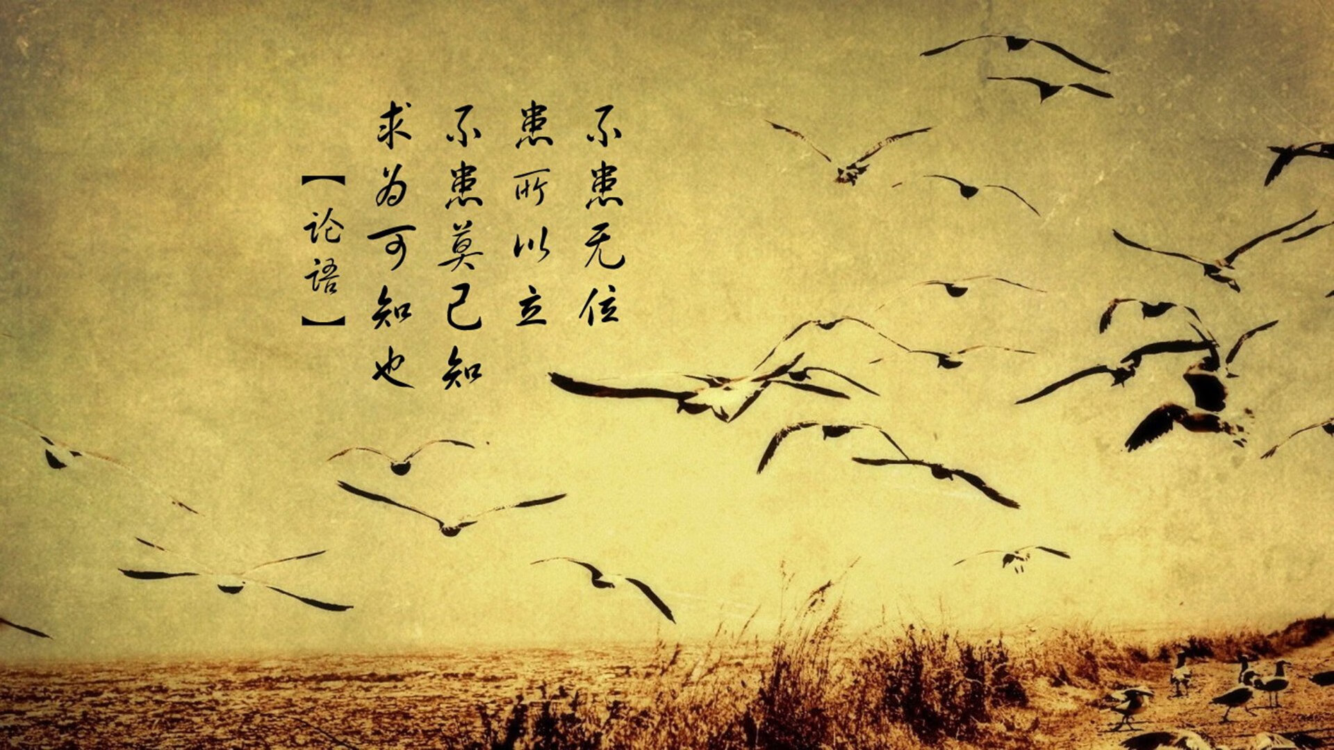 双线绝杀，伊朗铁骑踏破阿联酋，莱万领航波兰奏凯—2026世界杯F组唯一性的命运交响